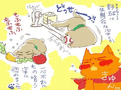 inuusa